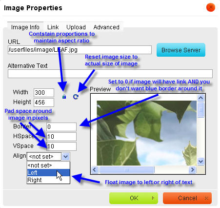 annotated image dialog